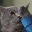 Jari-Matti Mäkelä's avatar